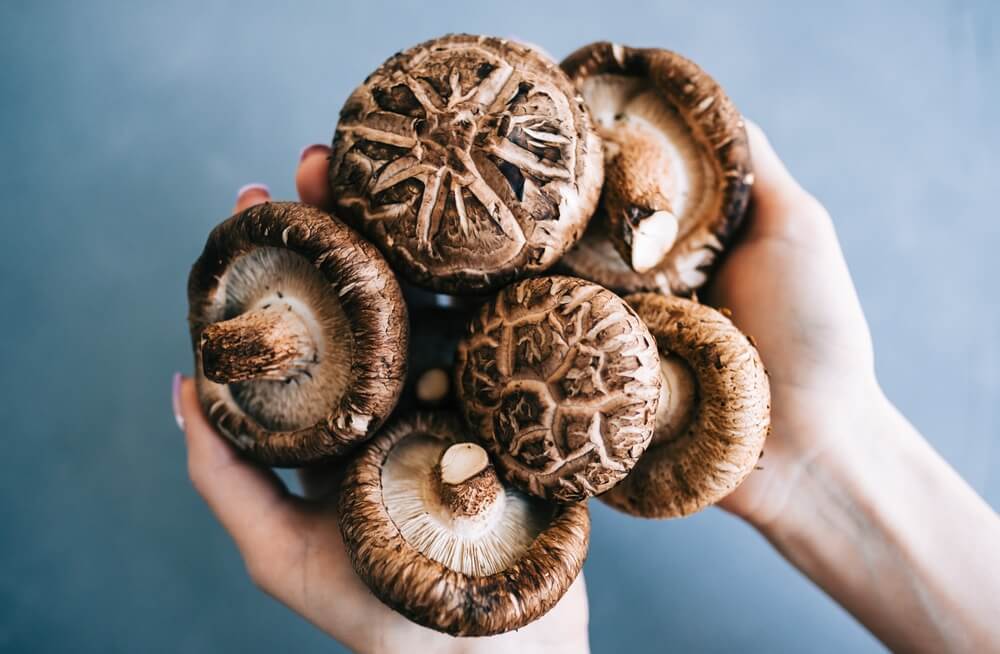 Shiitake Mushrooms | Shutterstock