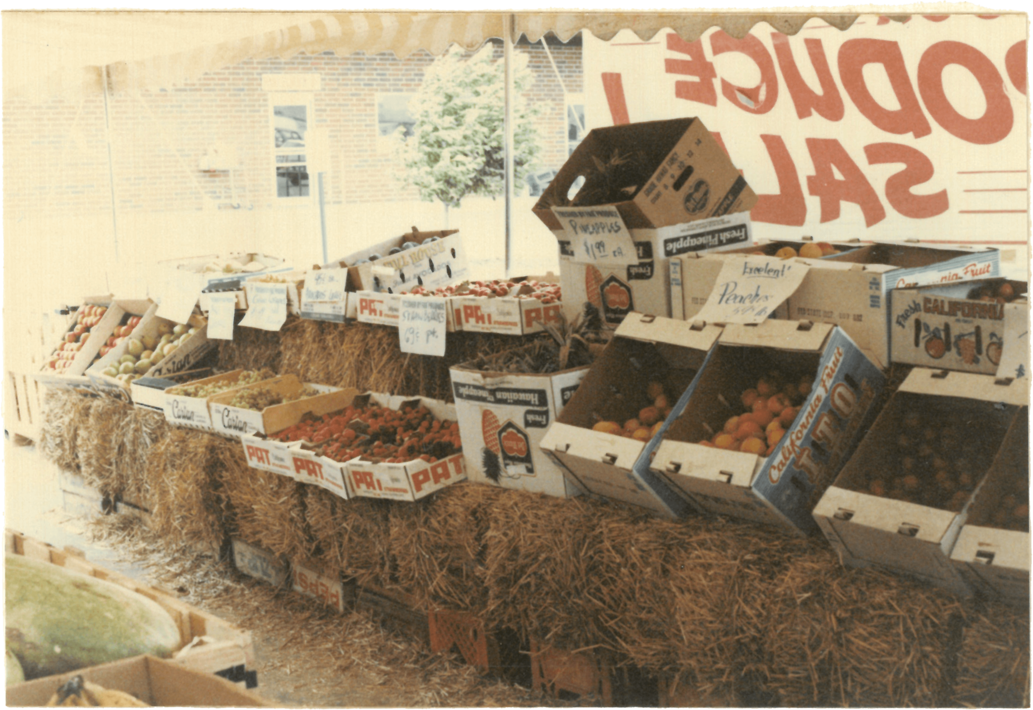 vintage produce sale (3)