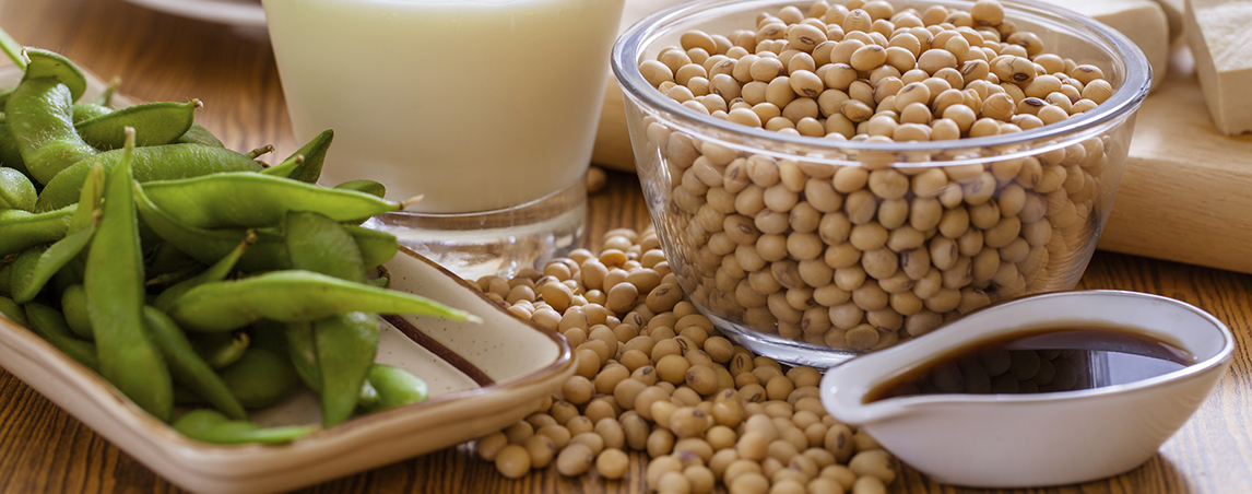 A variety of soy foods