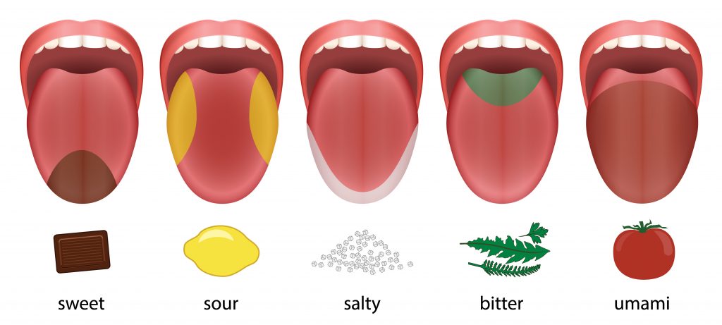 Map of the taste buds on our tongue. Image source: BCBSTS