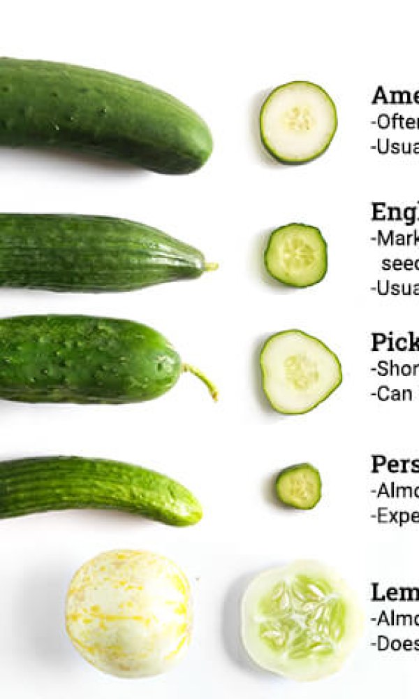 cucumber-varieties-types-1